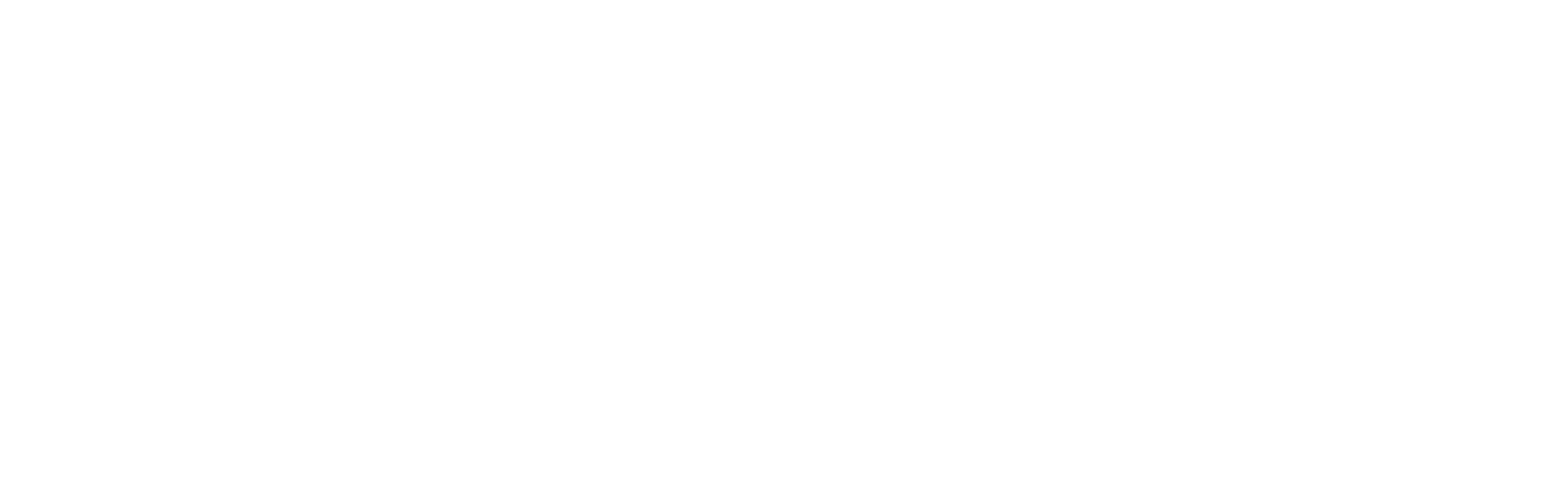 Lapiena white logo