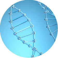 DNA double helix on a blue gradient background